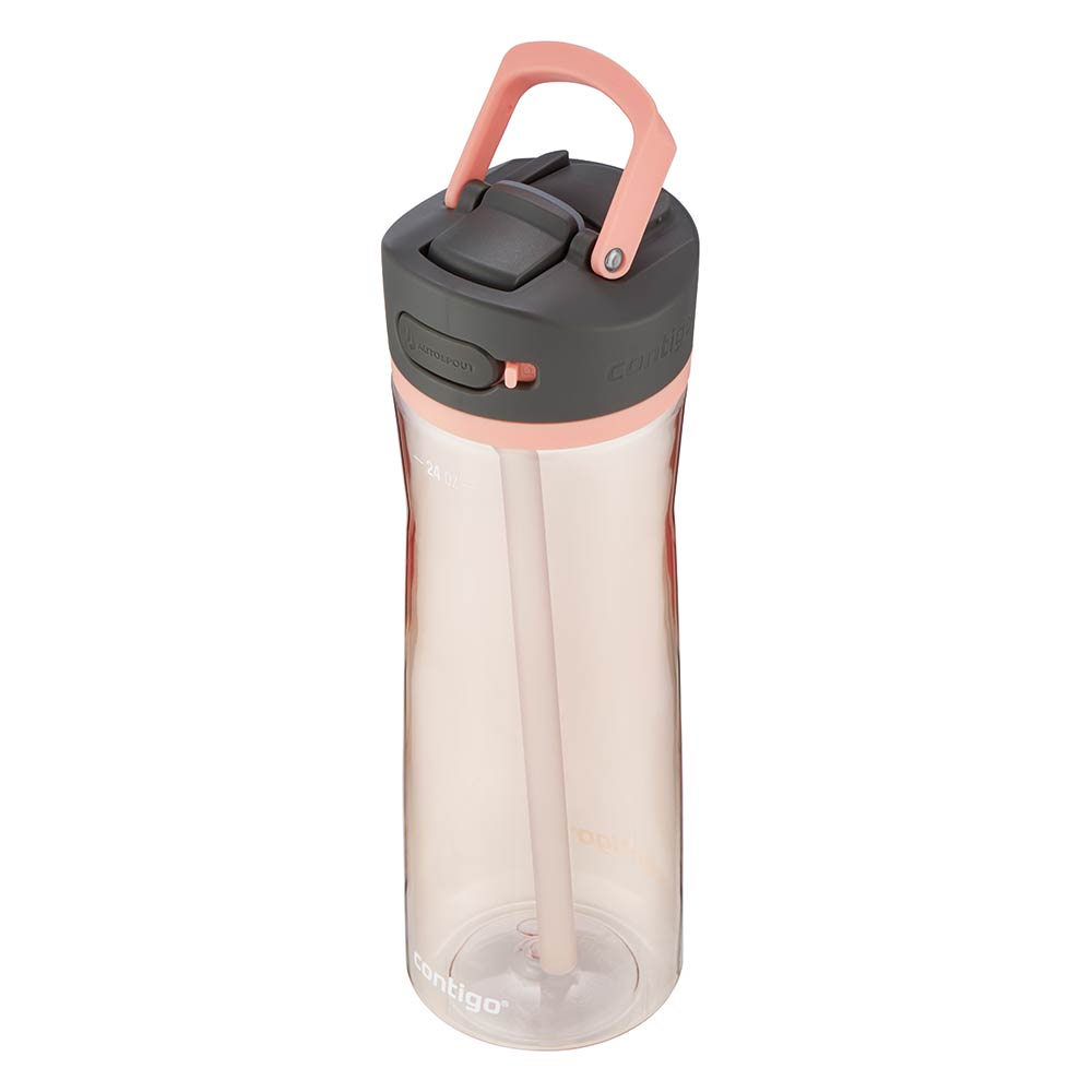 ASHLAND 2.0 Bottiglia Limonata Rosa 720 ml