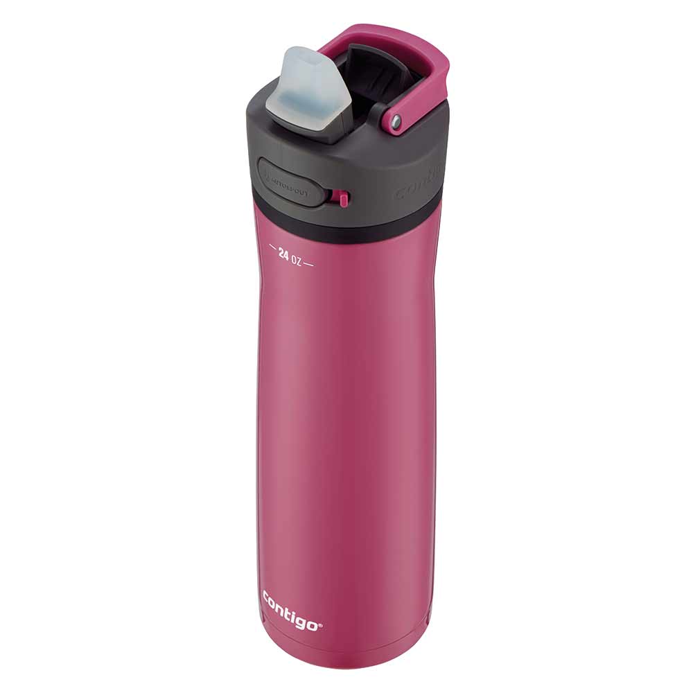 ASHLAND CHILL 2.0 Metallflasche Pink 720 ml