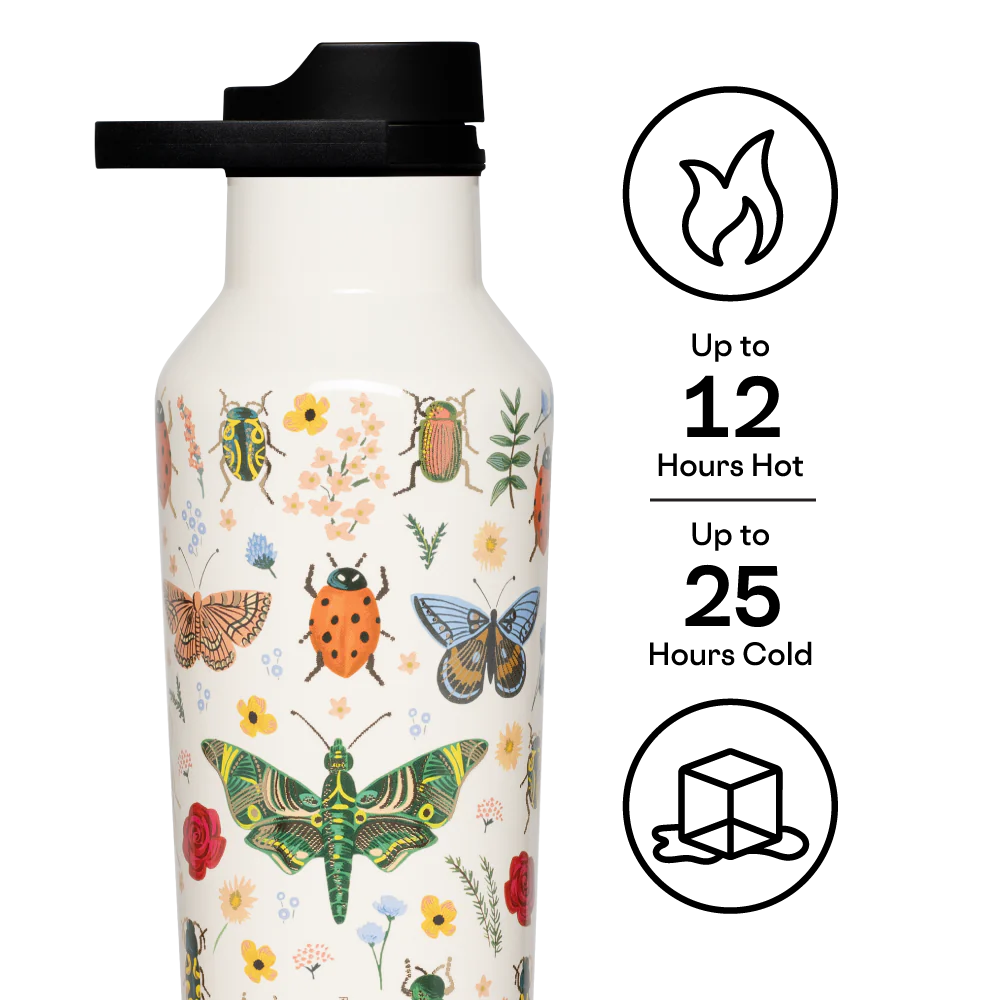 Sport Canteen - 590ML Rifle Paper - Curio Cream
