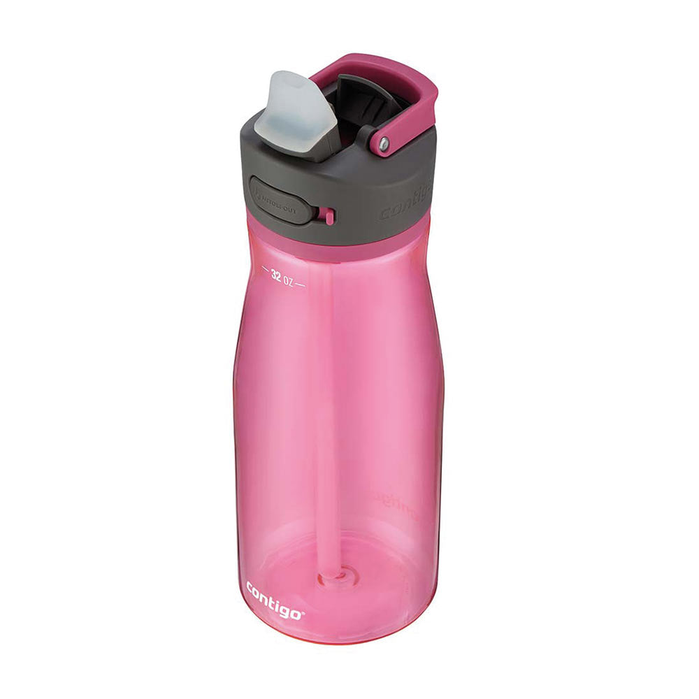 ASHLAND 2.0 Flasche Pink 950 ml