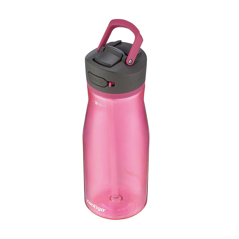 ASHLAND 2.0 Flasche Pink 950 ml