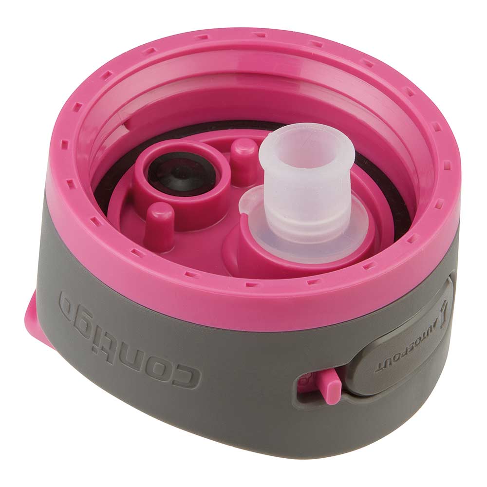 ASHLAND 2.0 Flasche Pink 950 ml