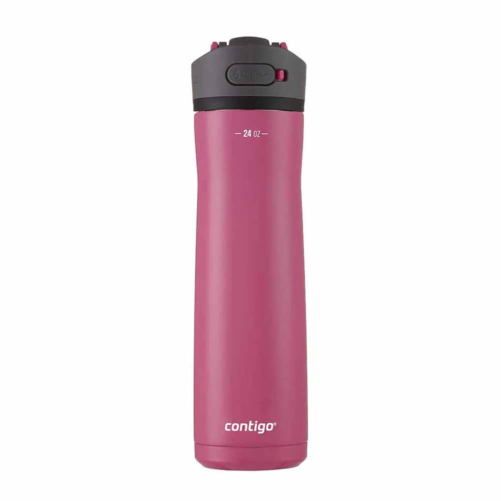 ASHLAND CHILL 2.0 Metal Bottle Pink 720 ml