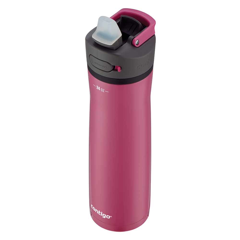 ASHLAND CHILL 2.0 Metal Bottle Pink 720 ml