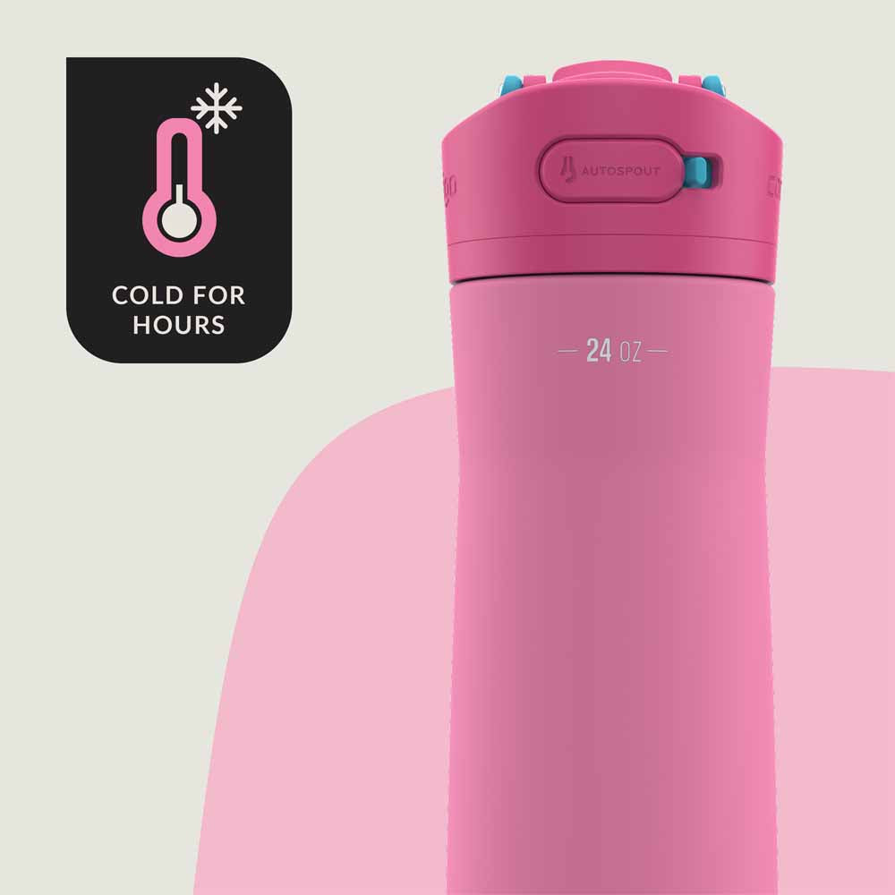 ASHLAND CHILL 2.0 Metal Bottle Bubblegum Pink 720 ml