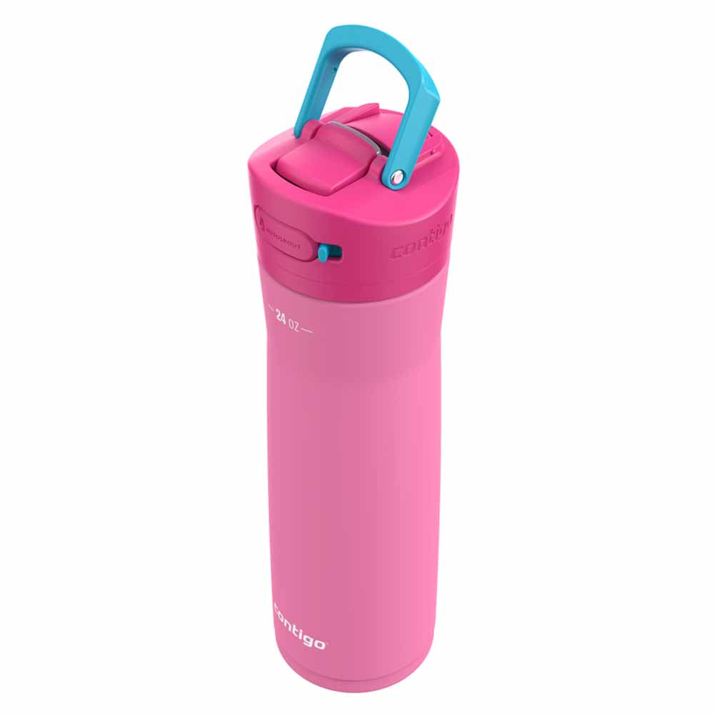 ASHLAND CHILL 2.0 Metal Bottle Bubblegum Pink 720 ml