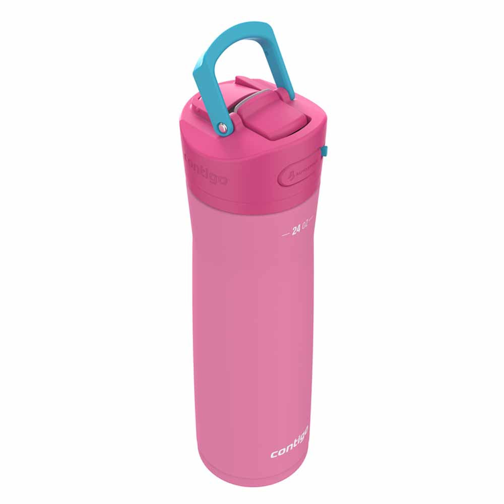 ASHLAND CHILL 2.0 Metal Bottle Bubblegum Pink 720 ml