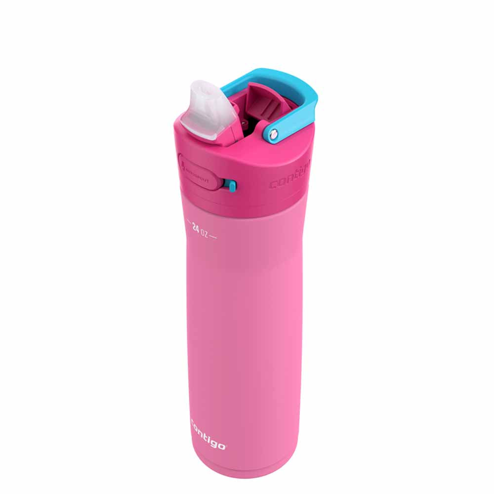 ASHLAND CHILL 2.0 Metal Bottle Bubblegum Pink 720 ml