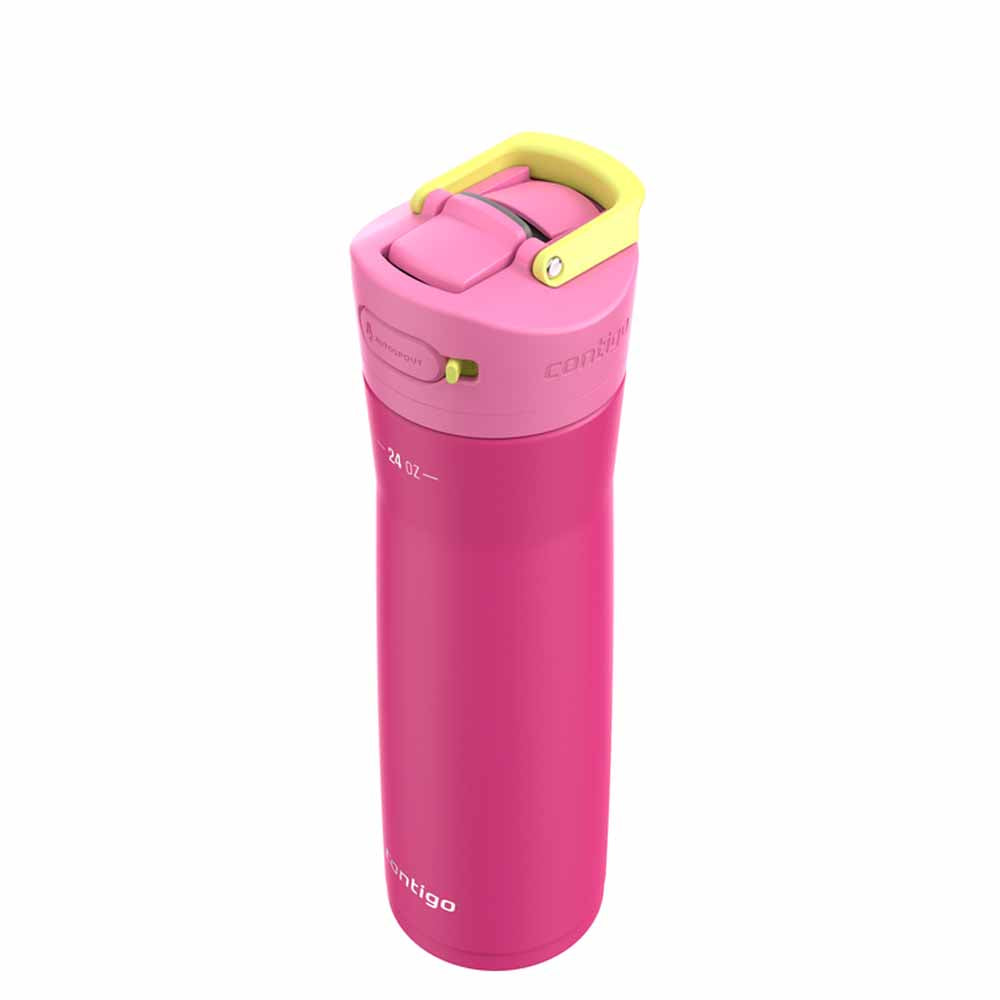 ASHLAND CHILL 2.0 Metal Bottle Fuchsia Pink 720 ml