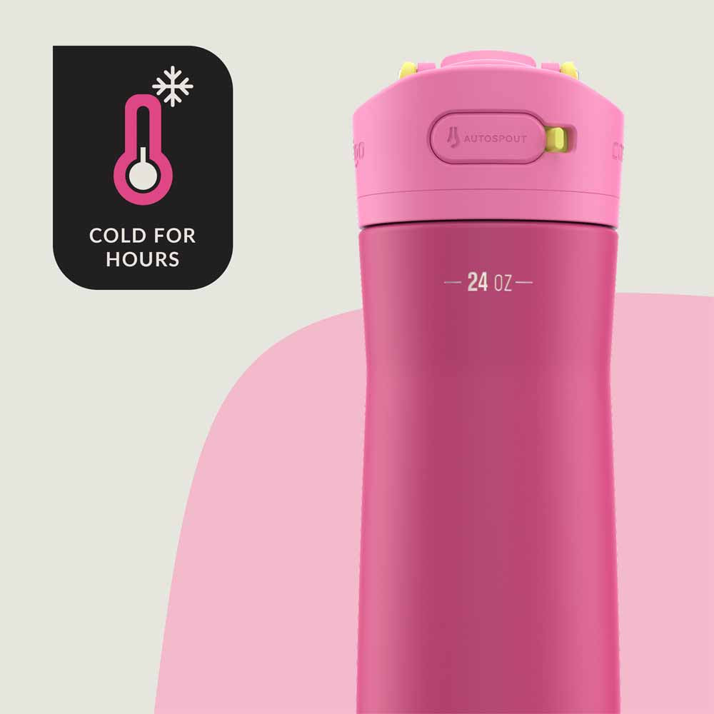 ASHLAND CHILL 2.0 Metal Bottle Fuchsia Pink 720 ml