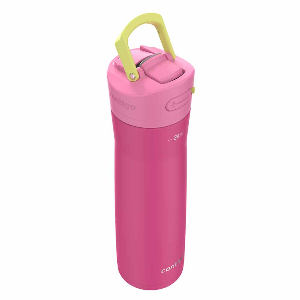 ASHLAND CHILL 2.0 Metal Bottle Fuchsia Pink 720 ml