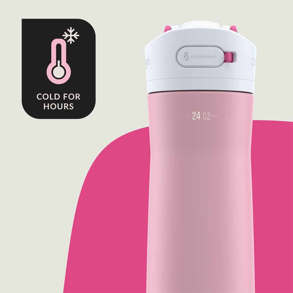 ASHLAND CHILL 2.0 Metal Bottle Light Pink 720 ml