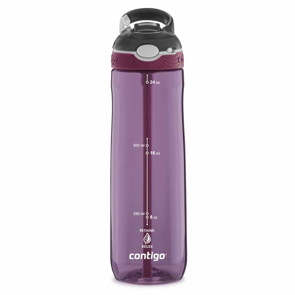 ASHLAND Bottle Purple 720 ml